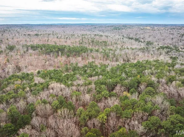 0 Havenwood Rd, Potosi, MO 63664