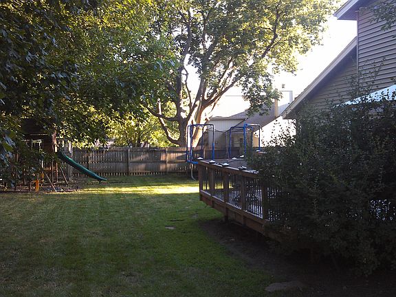 Back Yard Looking South