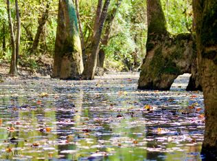 Highway 35 Mississippi #35, Mount Olive, MS 39119