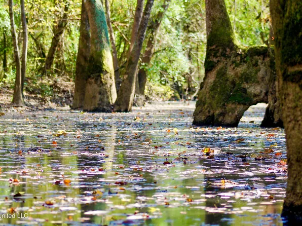 Highway 35 Mississippi #35, Mount Olive, MS 39119