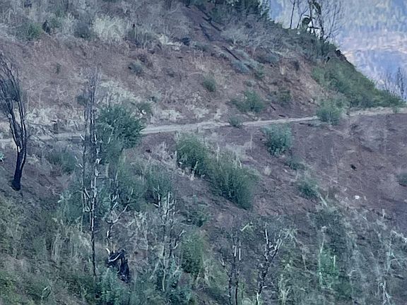 5th image of Dutch Creek Rd