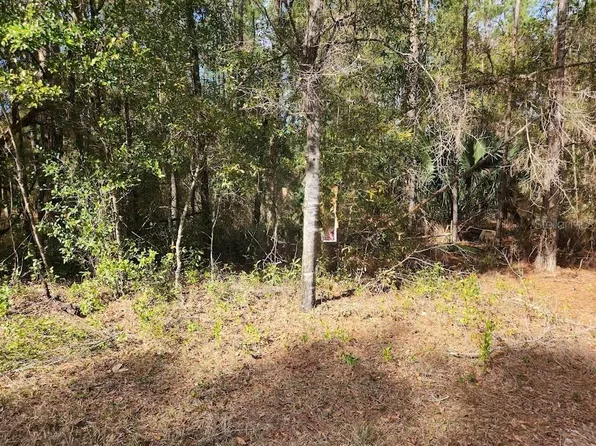 SW Rainbow Lakes Blvd Lot 61, Dunnellon, FL 34431