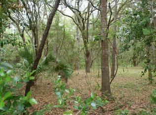 2824 Dove Nest Ct, Johns Island, SC 29455