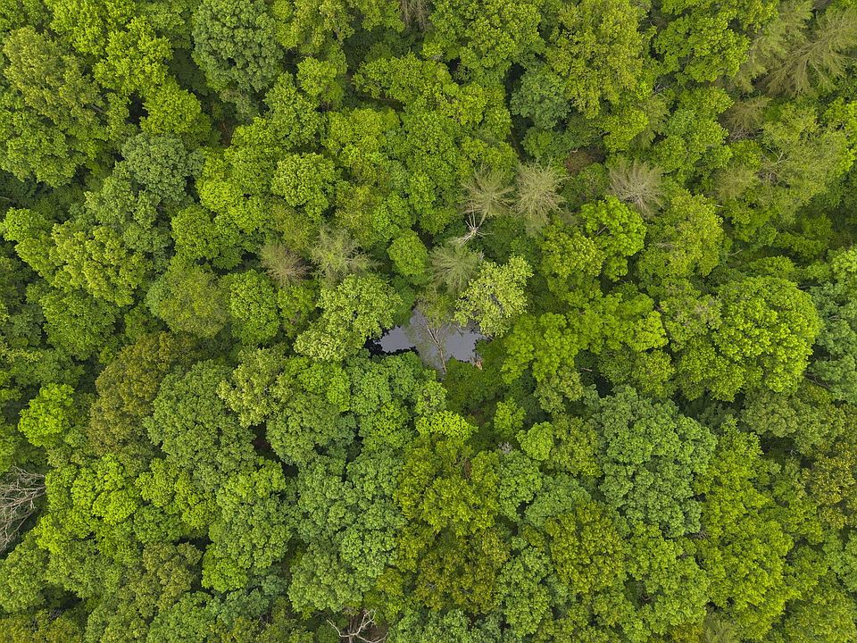 1st image of 18573 Huggins Rd