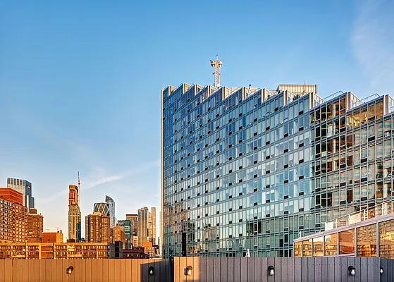 Rented by Two Trees | media 41