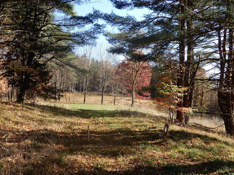 5th image of 128 BOYCE Road