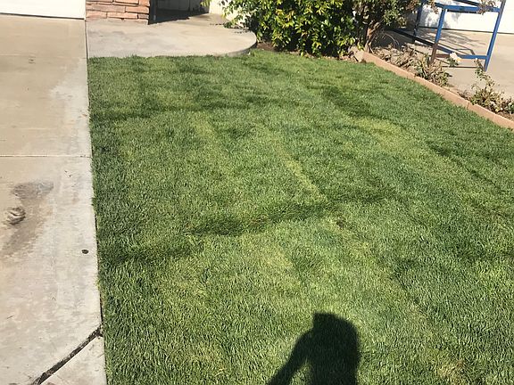 2nd image of 303 Olivine Ave