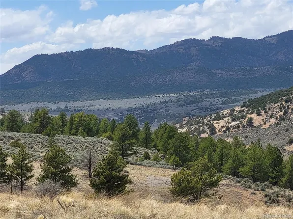 7644 Zearly Road, Fort Garland, CO 81133