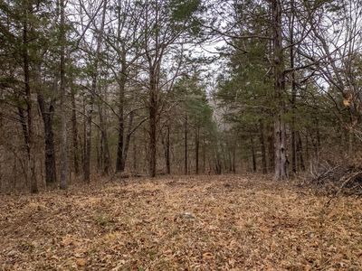 000 State Highway 142 W, Thayer, MO, 65791