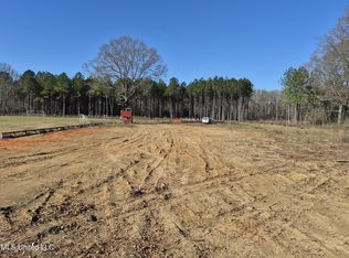 Fountain Dr, Forest, MS 39074