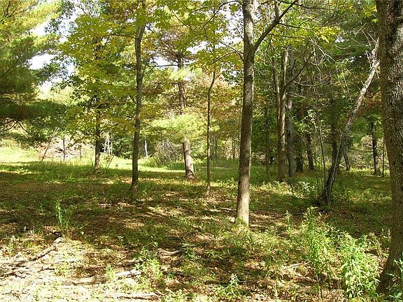 2nd image of 0 Webber Pond Road