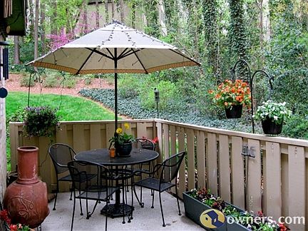Large private patio surrounded by woods