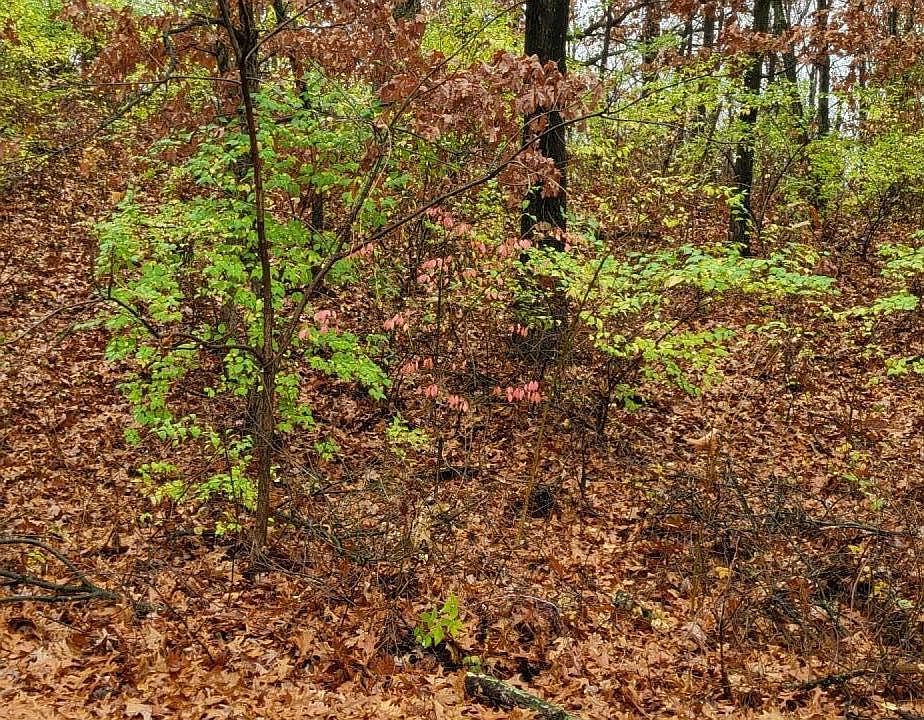 2nd image of LOT 68 Hillside Ln