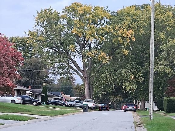5th image of 14 Metten Rd