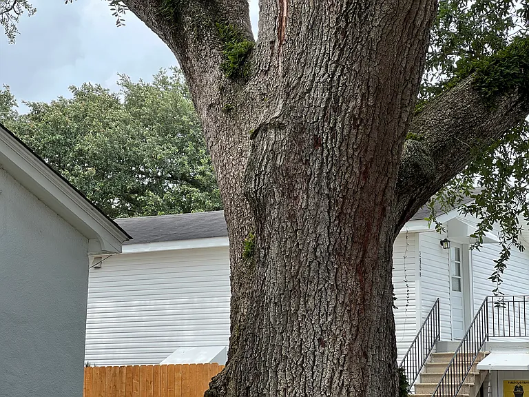 View from driveway of upper rear unit