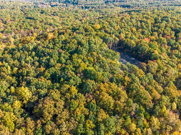 Chestnut Ridge Rd, Spring City, TN 37381