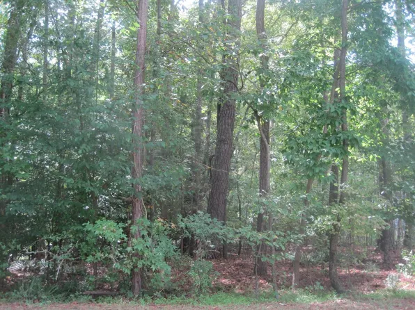 119 Mohawk Dr, Louisburg, NC 27549