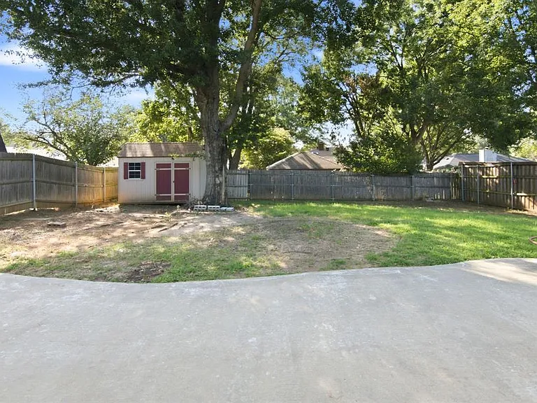back yard