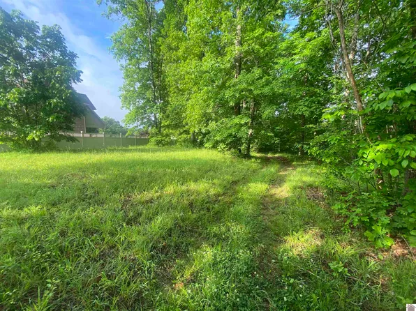 20 Cayuga Dr, Cadiz, KY 42211