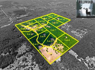 10732 SW Pine Ridge Dr, Fife Lake, MI 49633