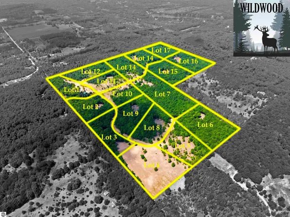 10732 Pine Ridge Dr SW #13, Fife Lake, MI 49633