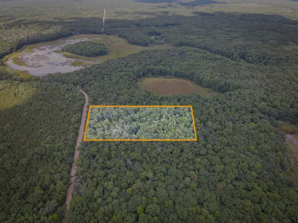 V/l South Ave #184, Holton, MI 49425