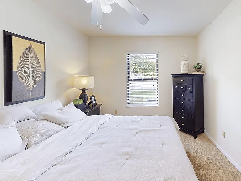 Rooms Full of Natural Light