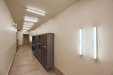 Rented by Bold New York