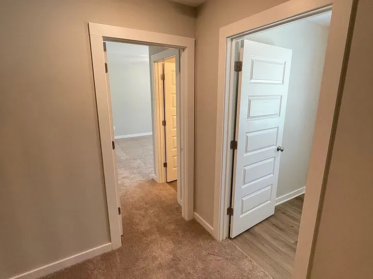 294 Shiloh Creek Dr — Photo 18