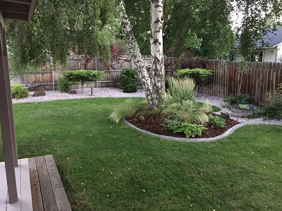 back yard