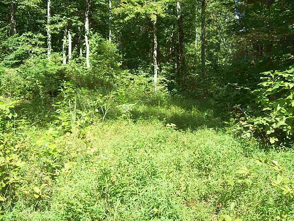 5th image of 275 Douglas Dr
