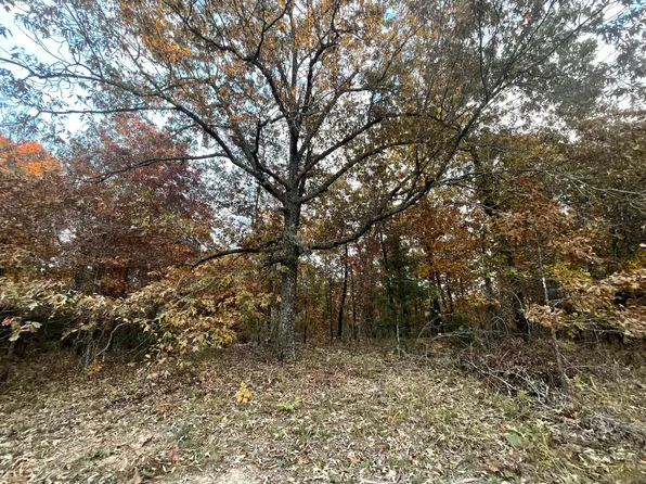 000 County Road 8790, West Plains, MO 65775