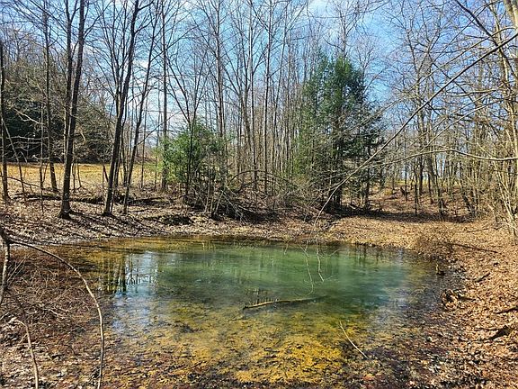 5th image of 17562 Round Top Rd