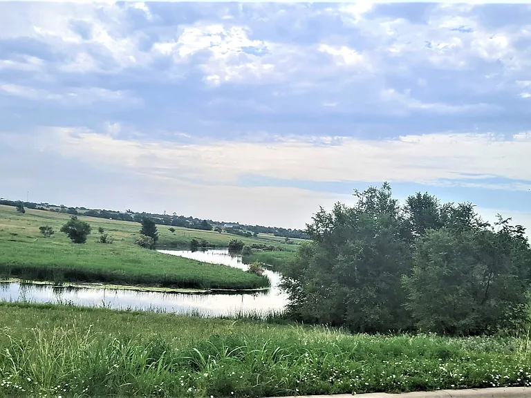 Back of the Property View