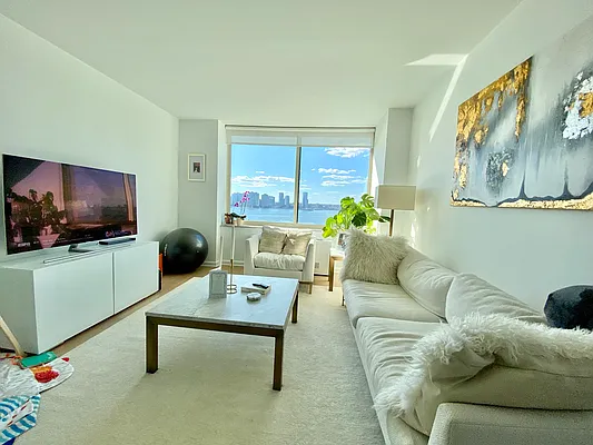 Rented by NY Living Solutions | media 3