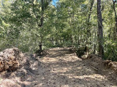 0 Todd Deer Lick Rd, Sharon Grove, KY, 42280