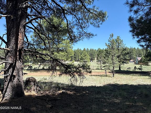 5th image of 5920 White Tail Ln
