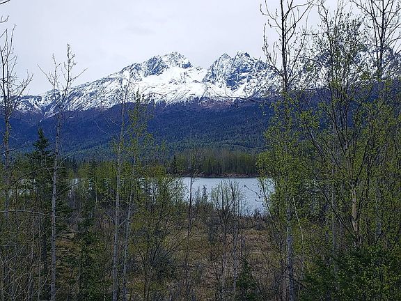 View From Parking Lot