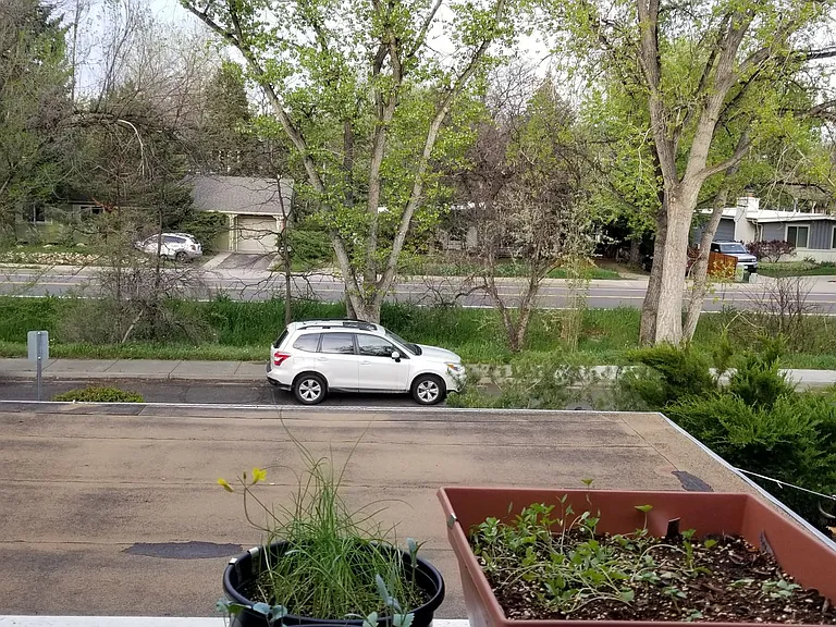 859 Roxwood Ln — Photo 30