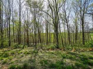 Batesville Rd, Quaker City, OH 43773