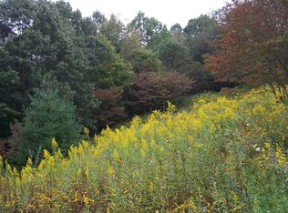 570 Big Windfall Rd, Lansing, NC 28643