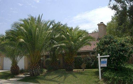 1st image of 24701 Wild Calla Dr