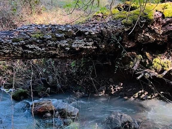 2nd image of 17440 Deer Meadows Road