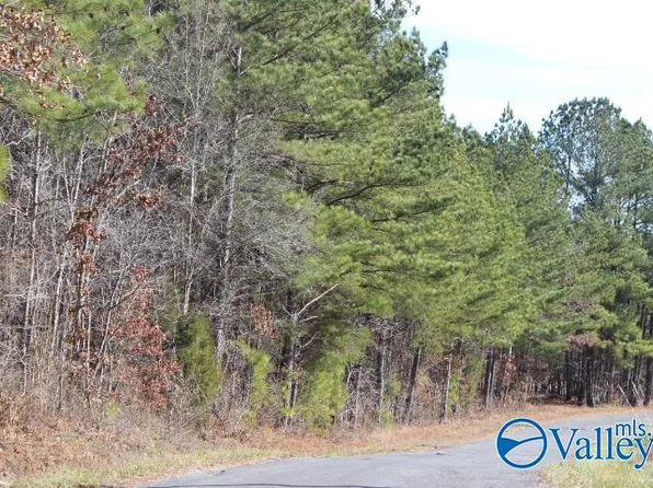 10 County Road 372, Dutton, AL 35744