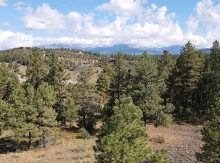 283 Crestview Dr, Pagosa Springs, CO 81147