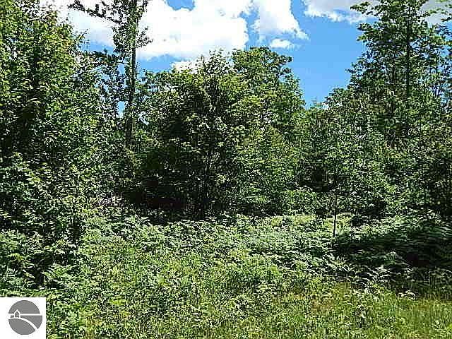 1st image of M W 55th
