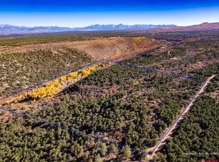 LOT 67 Barnes Point Dr, Montrose, CO 81403