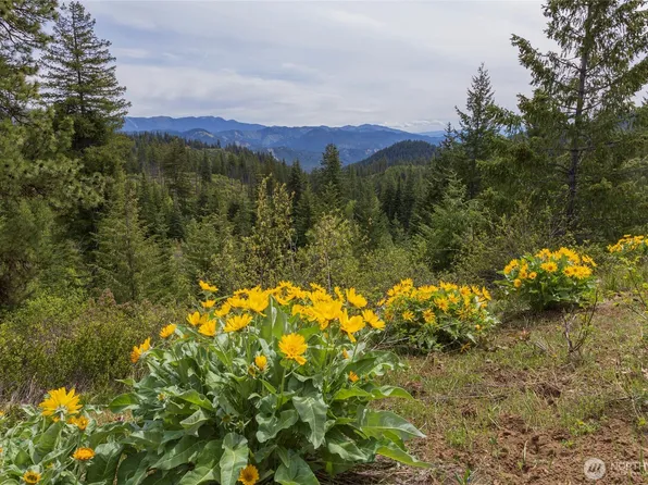 0 Forest Service 6601-550 Rd #B, Leavenworth, WA 98826