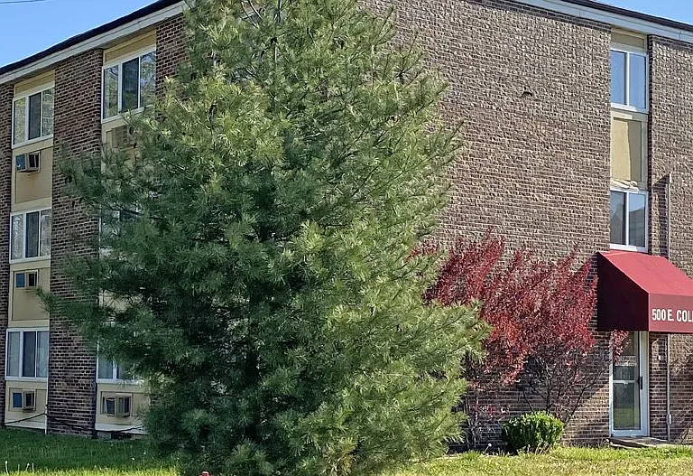 Saluki Apartments — Photo 8
