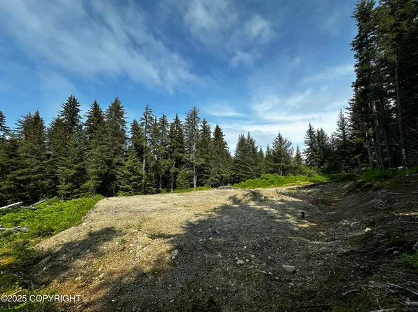 L21-B12 Jakolof Bay Rd, Seldovia, AK 99663